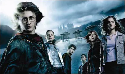 Qui donne les leçons d'occlumancie à Harry ?