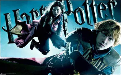 Dans quelle pièce Harry teste-t-il le sortilège du Levicorpus ?