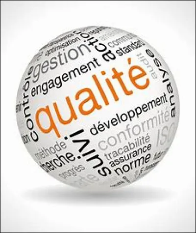 Laquelle de ces qualit&eacute;s poss&egrave;des-tu ? (2)