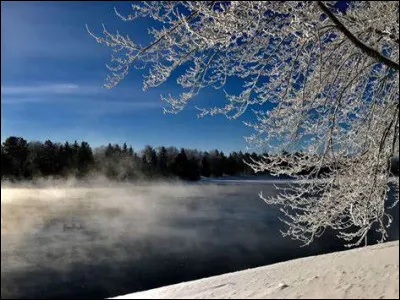 Dans quel domaine Mahalia Jackson a-t-elle été connue ?