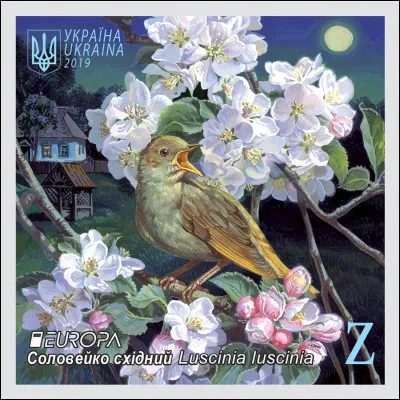 Les Ukrainiens ont toujours honoré ce petit oiseau pour son chant incroyable. C'est un rossignol dit [... ?...]