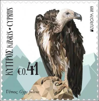 Le vautour fauve (Gyps fulvus) est un oiseau nécrophage... Vous savez ce qui vous attend : retrouver son ancien nom populaire.