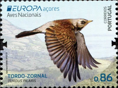 "Turdus pilaris" est endémique des Açores. Comment la/le nomme-t-on plus couramment ?