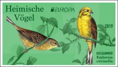 "Emberiza citrinella" est commun dans presque toute l'Europe et principalement en Allemagne. Quel est son petit nom ?