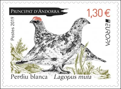 Les lagopèdes ont lallure de petits faisans. Ils revêtent trois plumages au cours de lannée. En été, le mâle possède un [... ?...] rouge vif au dessus de l'oeil.