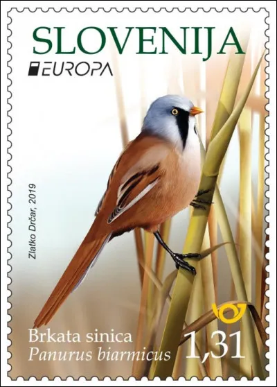 La mésange à moustaches est un oiseau de petite taille, sociable et de couleur brun-orangé à très longue queue. Quel est son autre nom ?