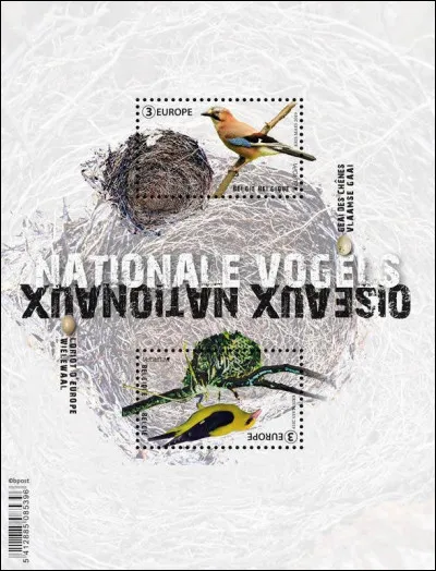 Ces deux oiseaux très colorés sont des artistes en matière de nid. Qui sont-ils ?