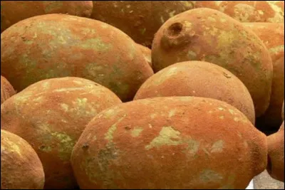Récupérez la dernière lettre de ce fruit d'Amérique du Sud et très cultivé en Guyane !