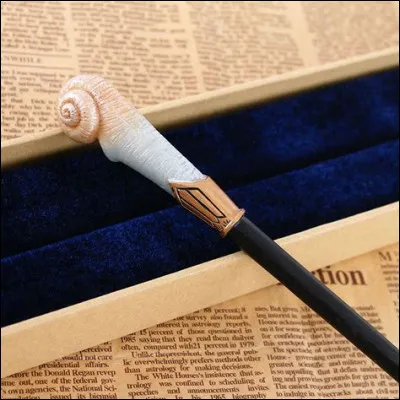 A qui appartient cette baguette ?