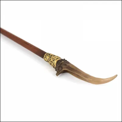 A qui appartient cette baguette ?