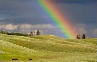 Un arc-en-ciel c'est multicolore.
