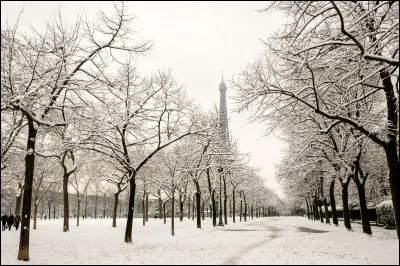 Tout ce blanc est de la pluie.