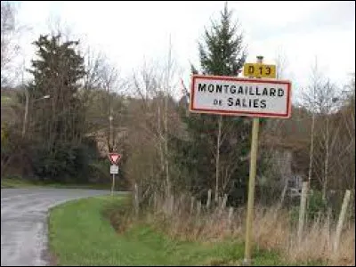 Village de l'arrondissement de Saint-Gaudens, dans le Comminges, Montgaillard-de-Salies se situe dans le département ...