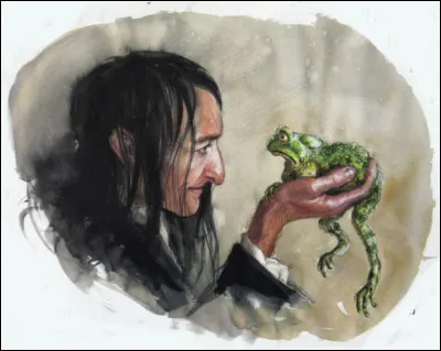 Quel est le statut de sang de Snape ?