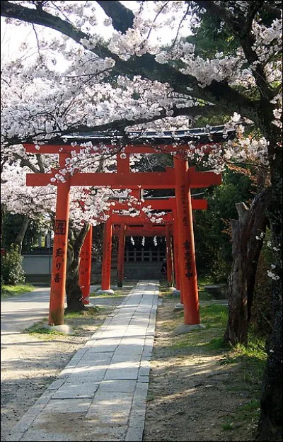 En combien de morceaux faut-il traditionnellement manger un maki ce jour précis ?