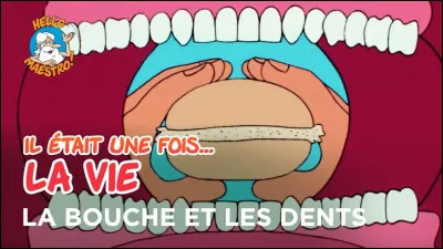 Quel programme en lien avec les dents aimes-tu ?