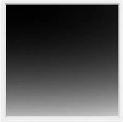 Blanc ou noire ? ( gris accepté )