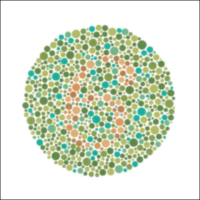 Que vois-tu ?