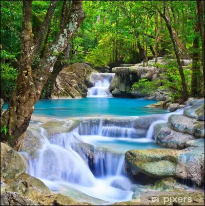 Quelle ___ ! Je pensais la forêt d'un calme olympien, pourtant.