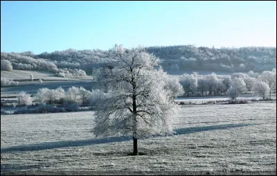 Aux petits matins d'hiver, il fait bien froid et une fine couche de blanc recouvre tout, pourtant, ce n'est pas de la neige :