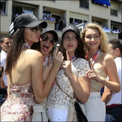 Lequel de ces chanteurs préfères-tu ?