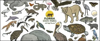 1) Quel est ton animal préféré ?