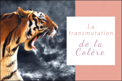 Cochez l'expression signifiant "être vraiment très en colère, furieux" :