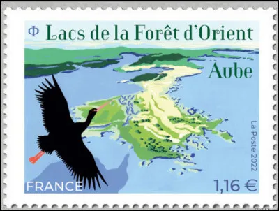 Dès l'Aube, partons pour l'aventure vers les "Forêts d'Orient" : nous y verrons peut-être ... [quel gracieux volatile ?]