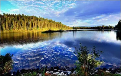 Que contient la soupe de kumara ?