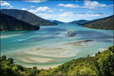Originellement, quelle partie du corps était couverte du tatouage maori ?