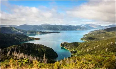 Quel oiseau est un symbole de la Nouvelle-Zélande ?