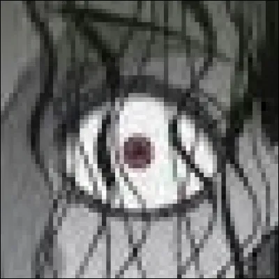 À qui appartient cet il ?