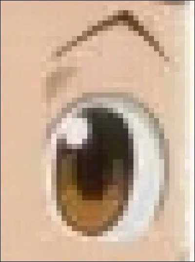 À qui appartient cet il ?