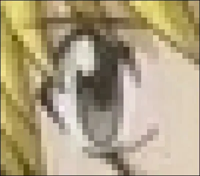 À qui appartient cet il ?