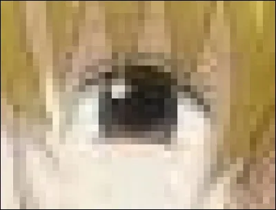 À qui appartient cet il ?