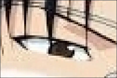 À qui appartient cet il ?