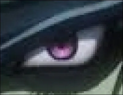 À qui appartient cet il ?