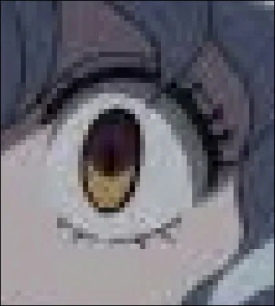 À qui appartient cet il ?