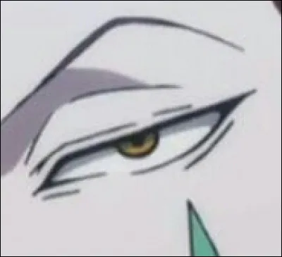 À qui appartient cet il ?