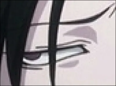 À qui appartient cet il ?