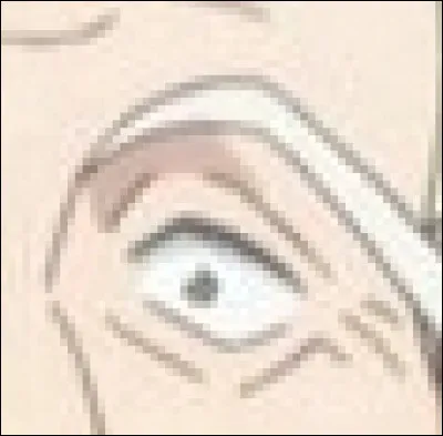 À qui appartient cet il ?