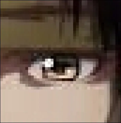 À qui appartient cet il ?