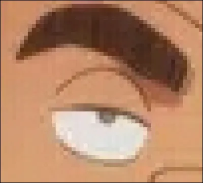 À qui appartient cet il ?