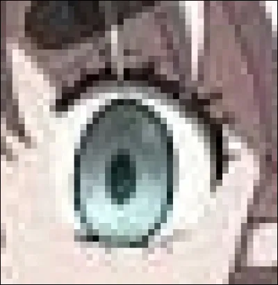 À qui appartient cet il ?