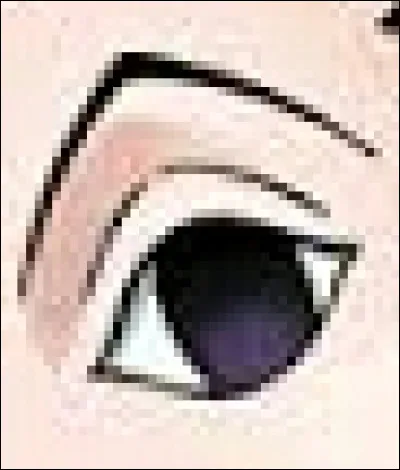 À qui appartient cet il ?