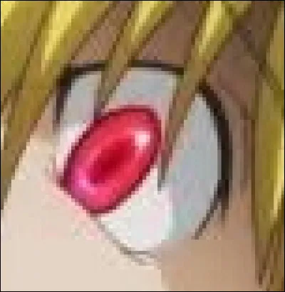 À qui appartient cet il ?