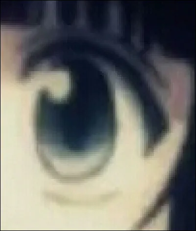 À qui appartient cet il ?