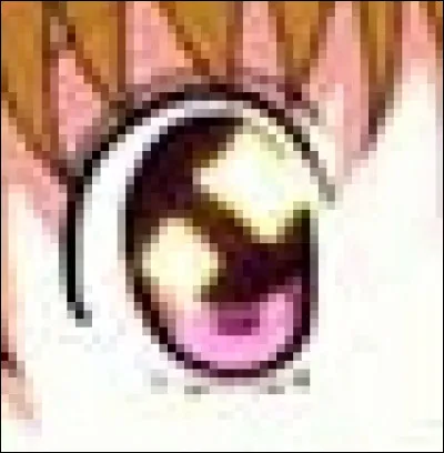 À qui appartient cet il ?