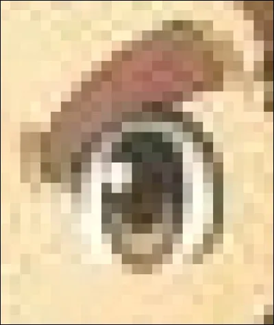 À qui appartient cet il ?