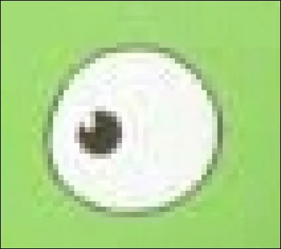 À qui appartient cet il ?